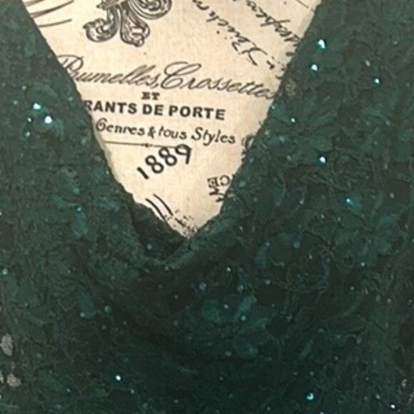 Dressbarn Green Sequin Cowl Neck Midi Dress Plus Size 22 NWT - Picture 4 of 14